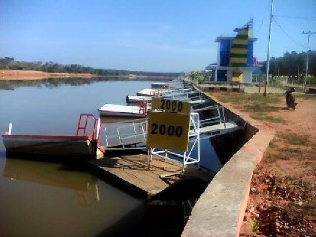 Dugaan PETI Menggunakan Alat Berat Kembali Beroperasi di Kebun Nopi Lubuk Jambi