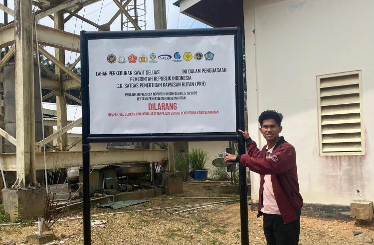 Koperasi Guna Karya Sejahtera Panen Sawit di Kawasan Hutan yang Disegel Satgas PKH